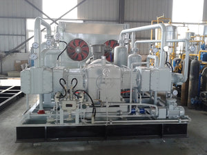 Oil-Free (CO₂) Carbon Dioxide Gas Compressor