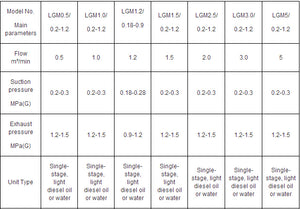 Flare Gas Screw Comrpessor Screw Type